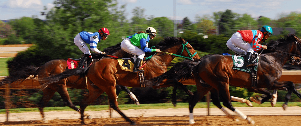 ¿Qué son las apuestas en carreras de caballos